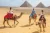 Paquetes a Egipto desde Lima